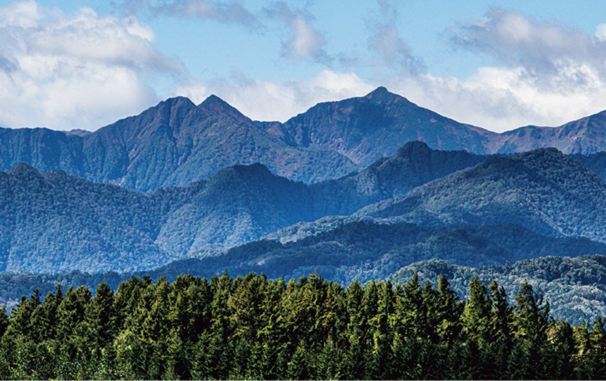 夏の大地をめぐる｜中札内村　美しい農村風景の中、観光やグルメも多数