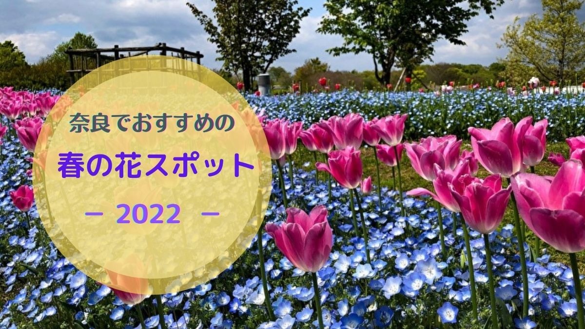【2022年版】桜だけじゃない！奈良の春の花スポット