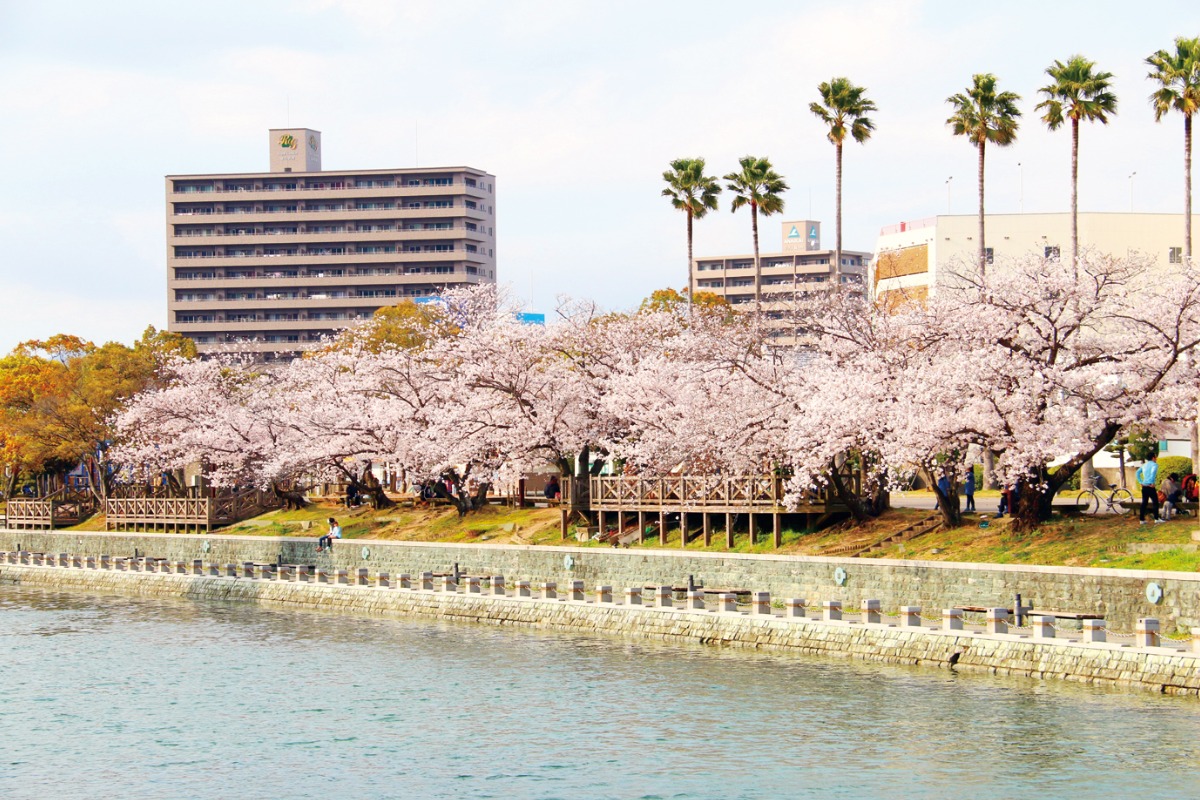 【2023年最新版】徳島のお花見スポット＆桜の名所33選まとめ