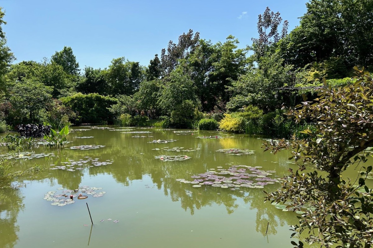 北海道の庭｜今週の花　浜名湖花博で出会ったガーデン風景