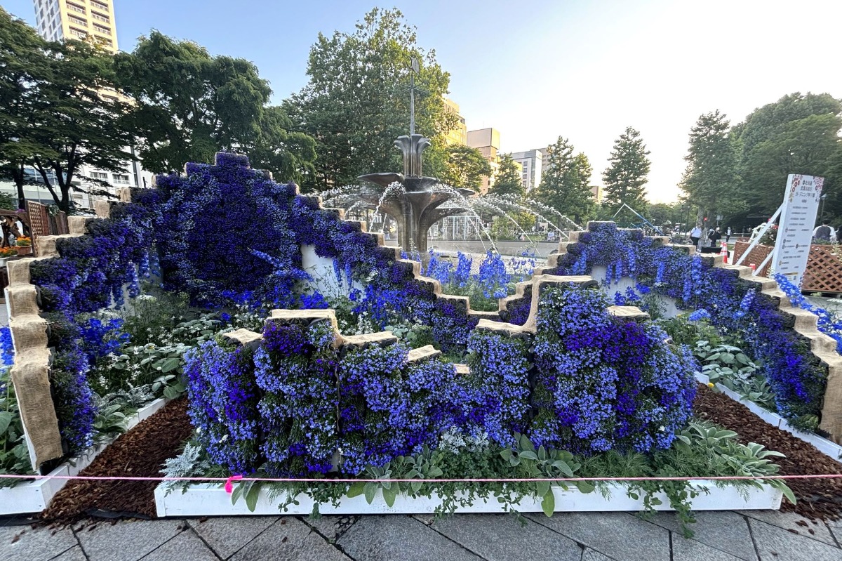 札幌・大通公園の「花フェスタ2025」へ。6月29日まで開催中!