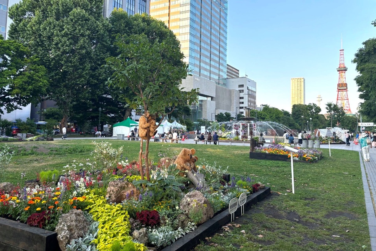 札幌・大通公園の「花フェスタ2025」へ。6月29日まで開催中!
