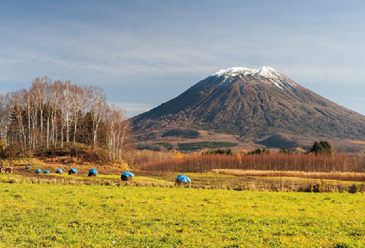 ふるさと納税｜ニセコ町　羊蹄山など山岳、自然豊かな観光リゾート地