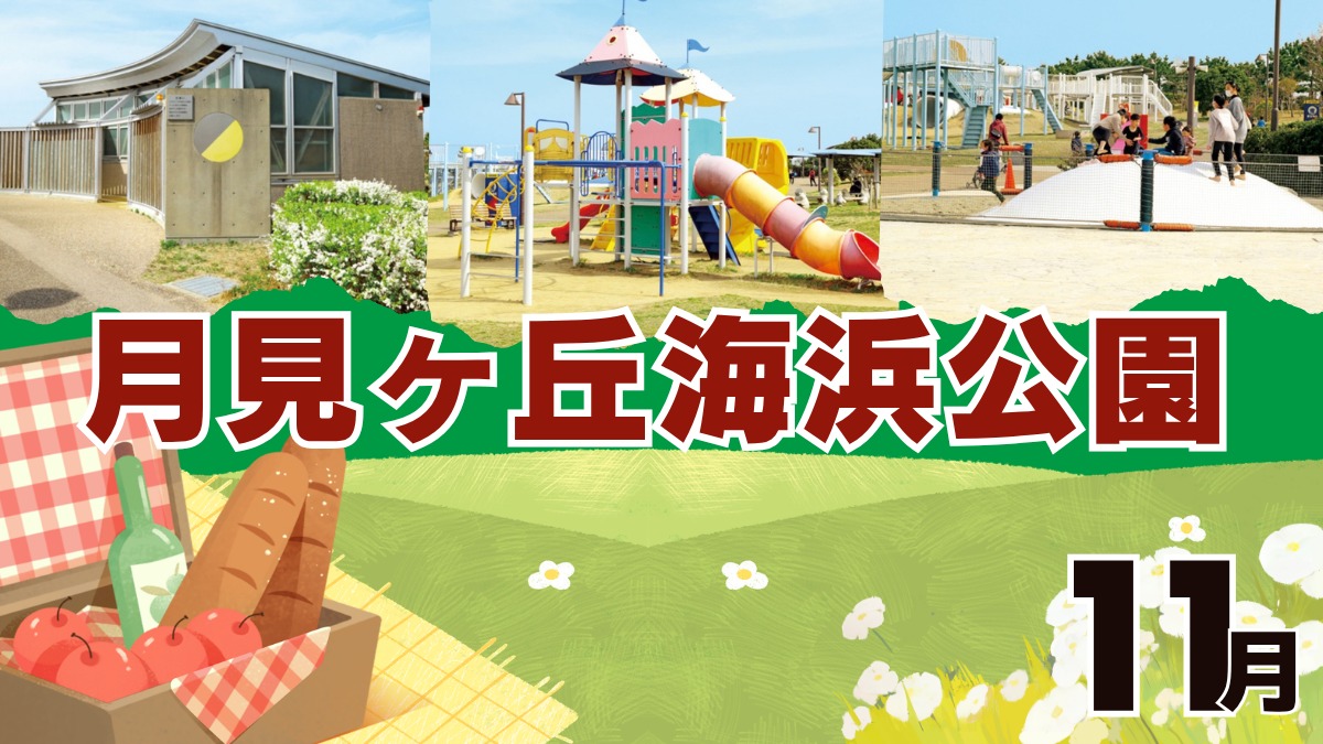 【徳島イベント情報2026】月見ヶ丘海浜公園【11月】