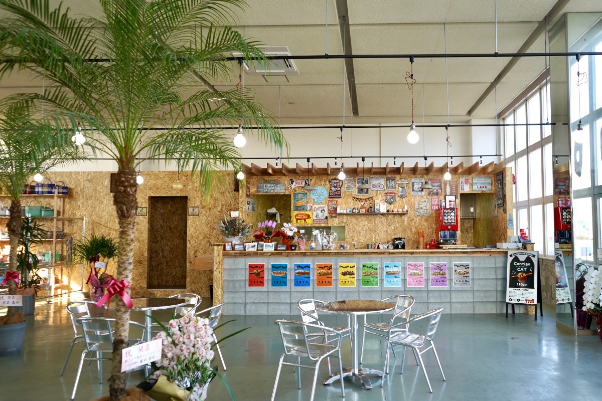 【まいにちランチvol.23】Contigo（松茂町）／新店のランチ