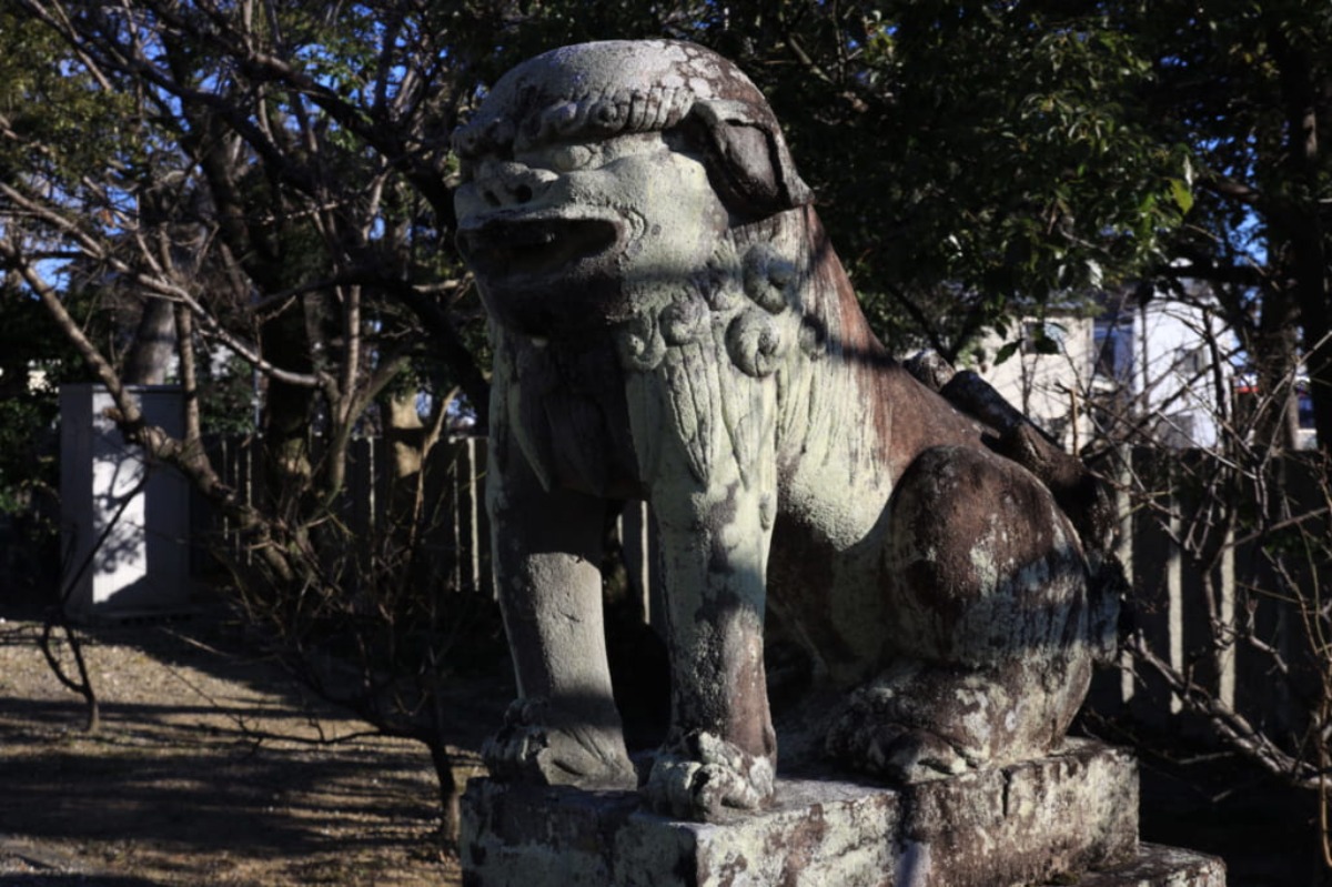 《徳島探訪》とくしま狛犬列伝  ぶらり藍住編