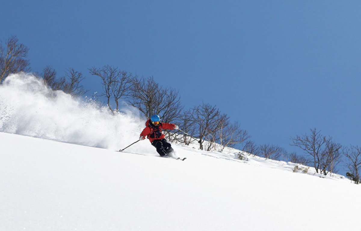 北海道の冬旅｜ニセコ・倶知安の極上パウダースノーと贅沢な源泉の湯