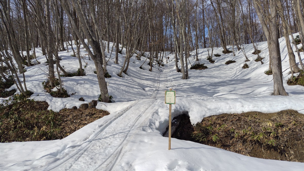 札幌→石狩地方へ行ってきました！（前編／１日目）