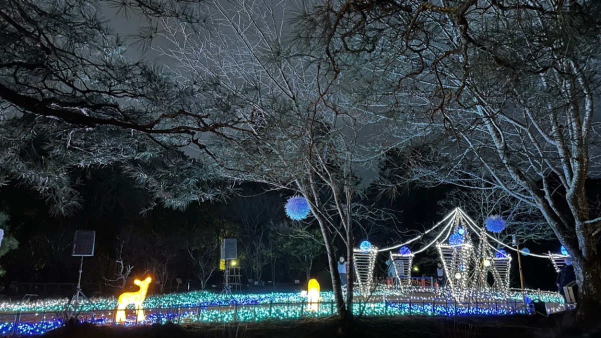 【2024なら瑠璃絵・夜間特別参拝】奈良公園一帯で「幻想的な光」の演出！
