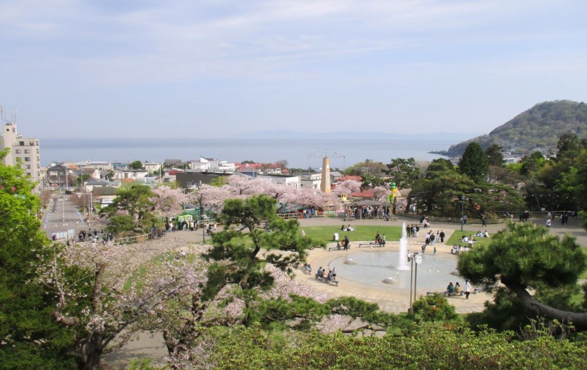 2025 北海道のお花見・桜の名所 ①|函館エリア