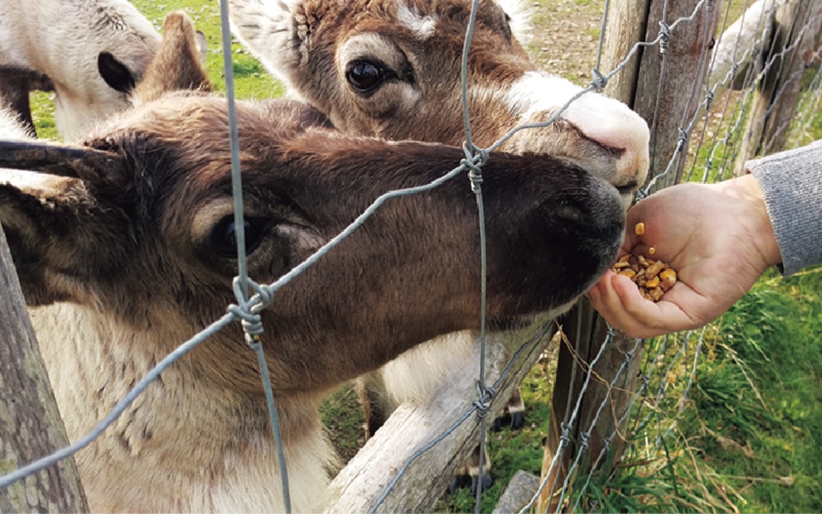 道北エリアガイド[宗谷エリア]｜幌延町　サロベツ原野の自然とエネルギー産業で有名