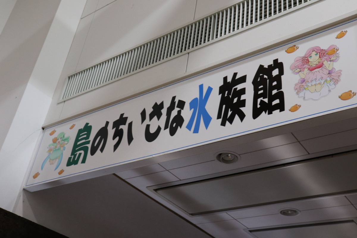 【徳島のおでかけ情報】海中観光船ブルーマリン号の「バレンタインナイトクルーズ2026」ロマンチックな夜の海でステキな思い出を