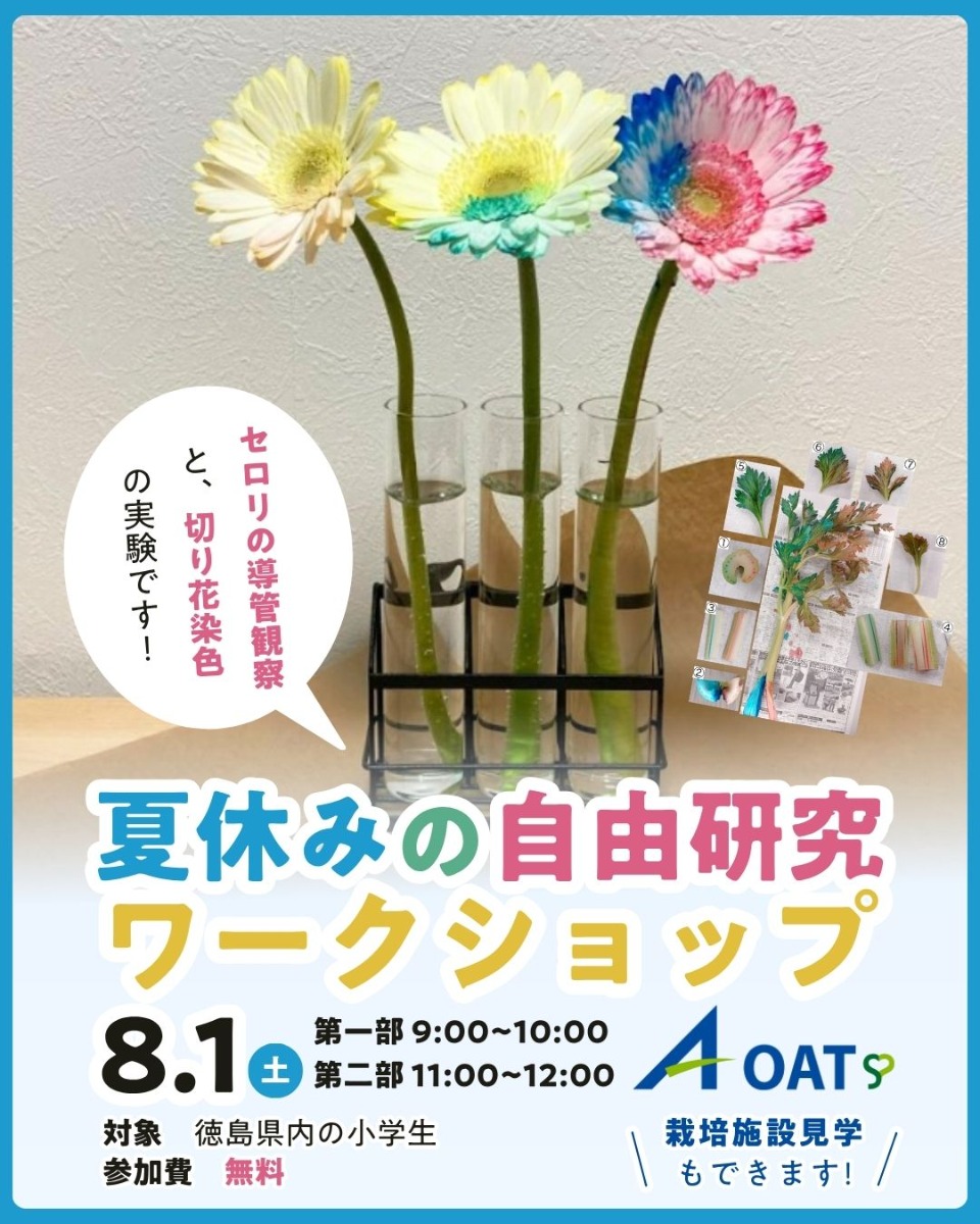 【徳島イベント情報2026】8/1｜夏休みの自由研究ワークショップ［7/26申込締切］