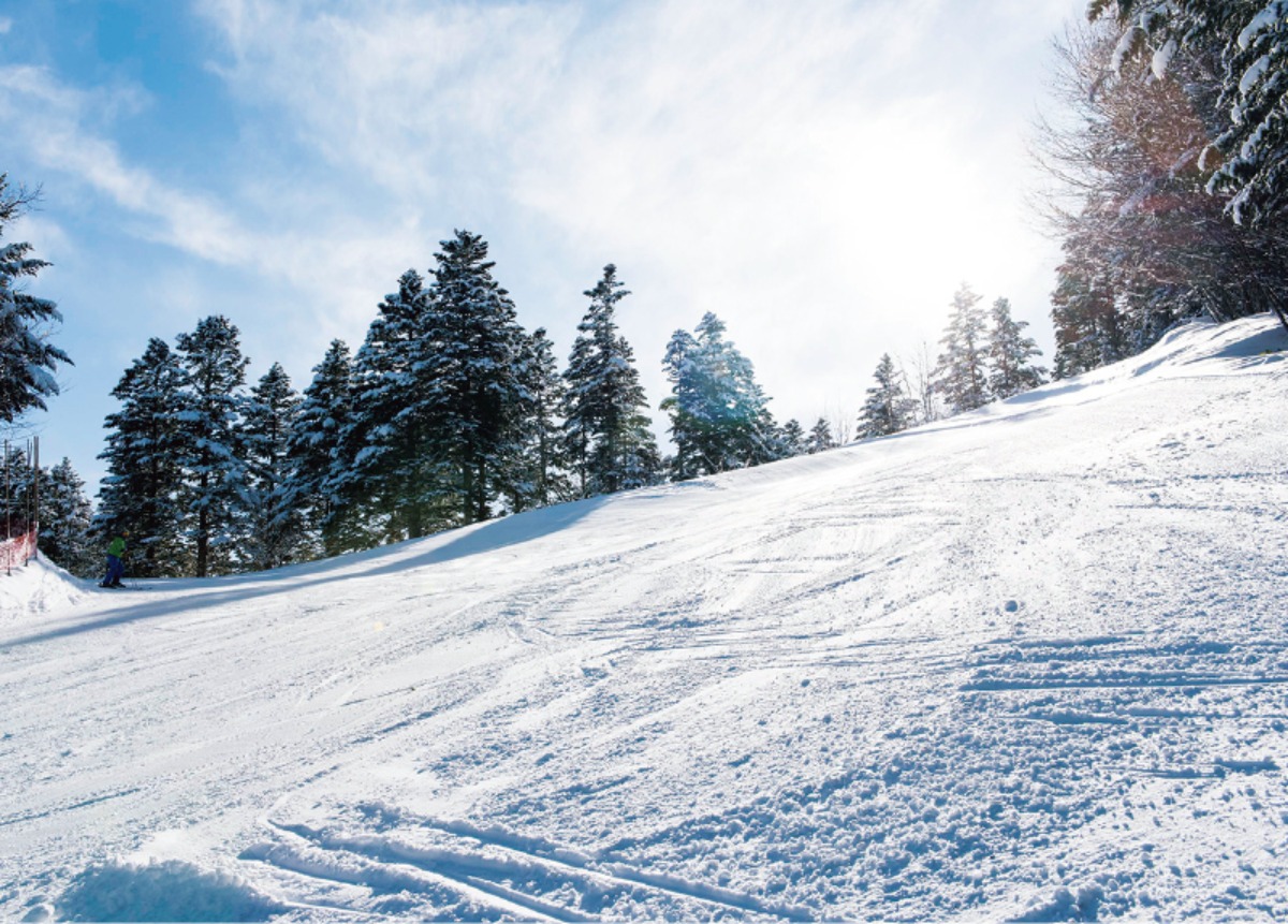 北海道移住・冬｜滝上町　ダイヤモンドダストが輝く、 冬は五感が敏感になるまち