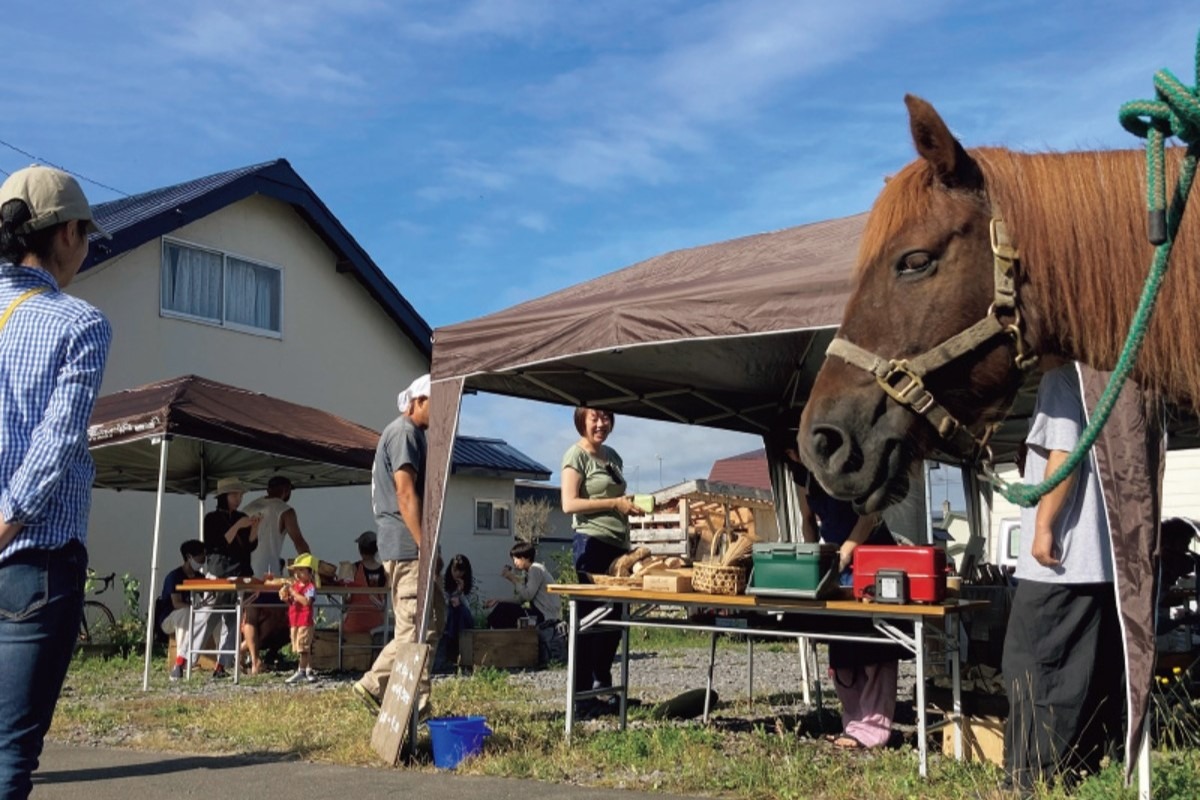  森林資源が豊かな下川町！子育ては地域・学校連携の‟共育”を推進