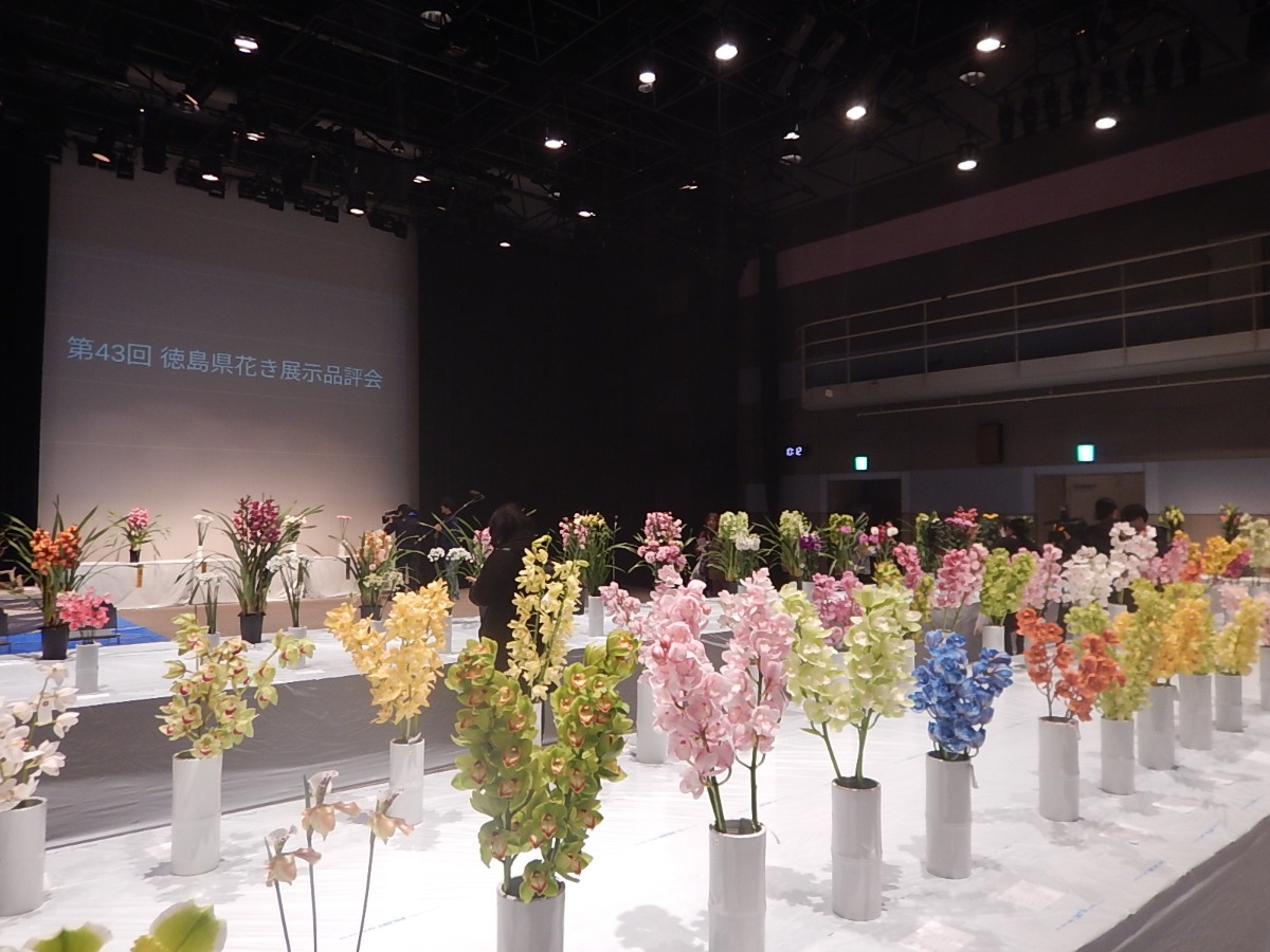 【入場無料】11/28・29開催｜とくしま花まつり／コンテスト、展示、プレゼント、ワークショップ（事前予約制）