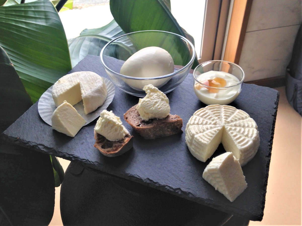 【徳島イベント情報】12/7｜テーブルサッカーおもちゃ美術館CUP