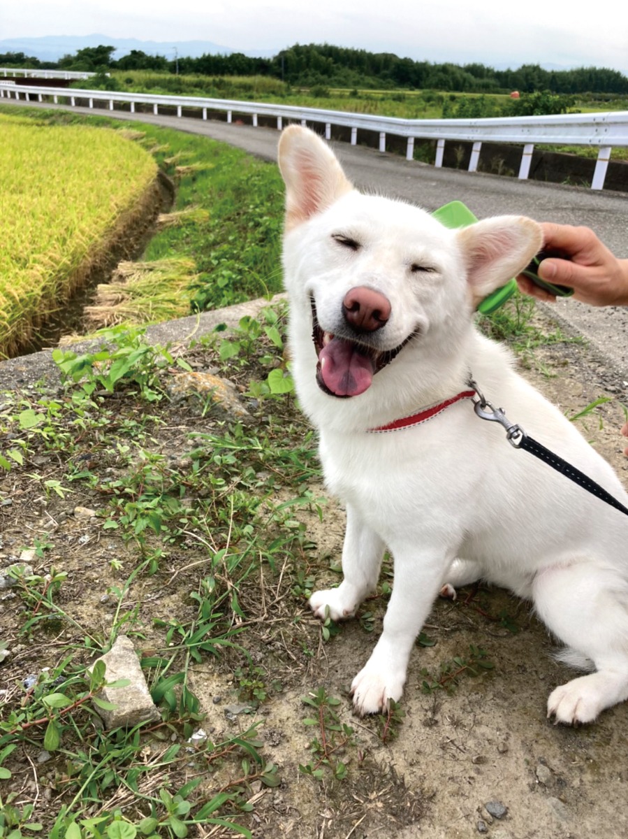 【ペットフォトコンテスト】我が家のペット／看板犬・猫 受賞作品紹介