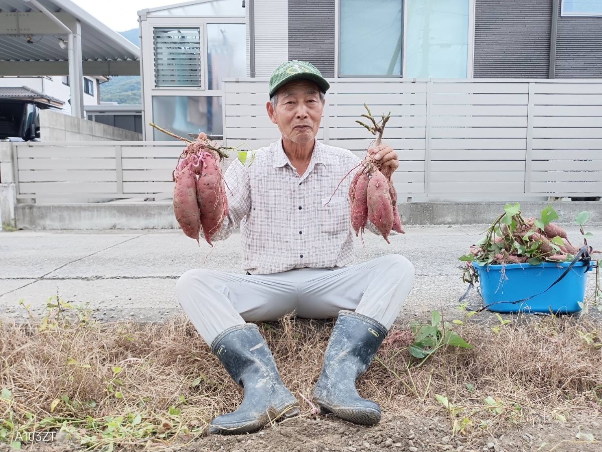 【徳島おでかけ】秋冬の味覚狩り・おすすめ5選／野菜収穫／きのこ狩り／みかん狩り｜レジャー｜体験｜2024最新