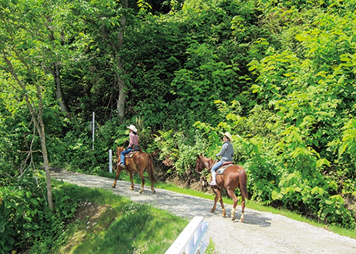 定山渓&ニセコステイで楽しむ夏の北海道周遊旅