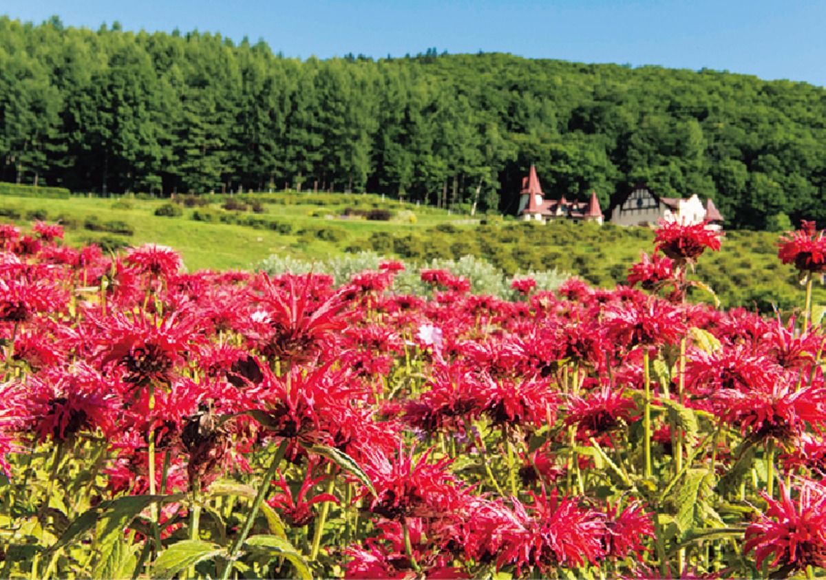 春から夏のオホーツク案内｜滝上町　すべての人が安心して楽しめる、 ユニバーサル観光を目指すまち