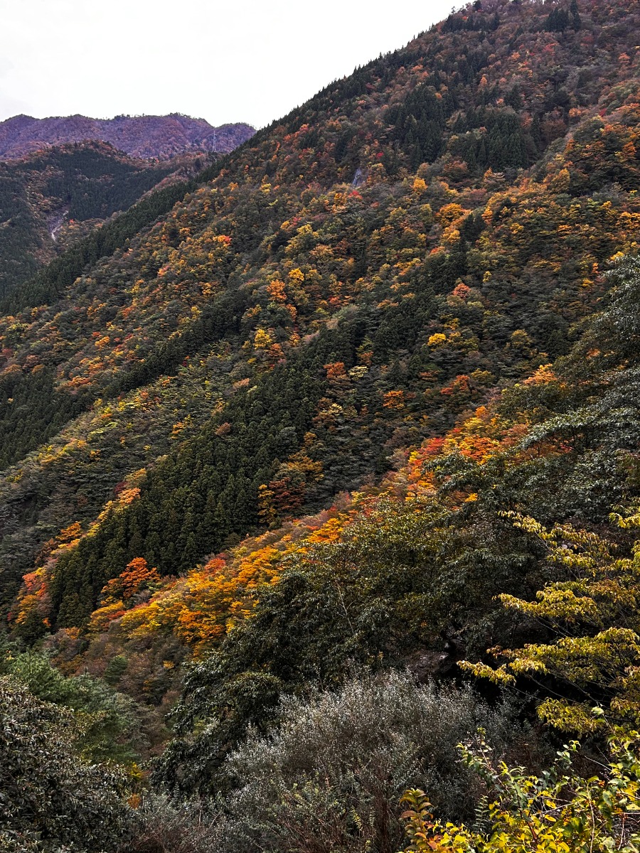 【徳島イベント情報】11/1（日）「剣山スーパー林道ファンミーティング2026」開催！