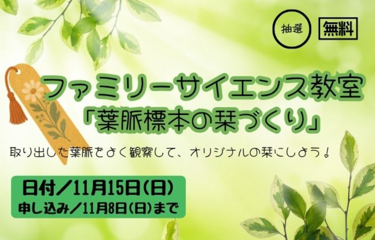 【徳島イベント情報2026】あすたむらんど徳島【11月】