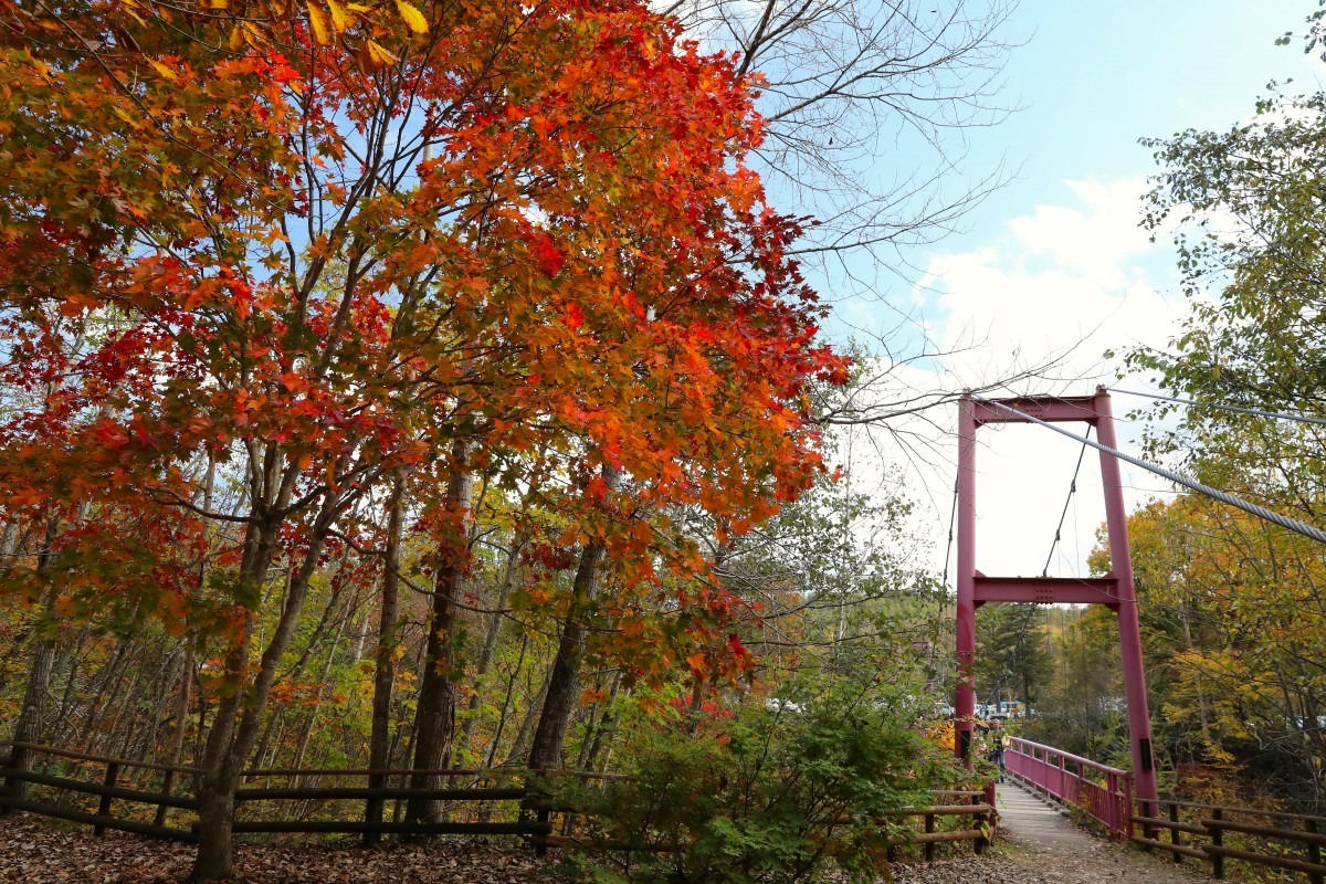 帯広・紅葉絶景と十勝の味覚「岩内仙峡もみじまつり」10月13日開催