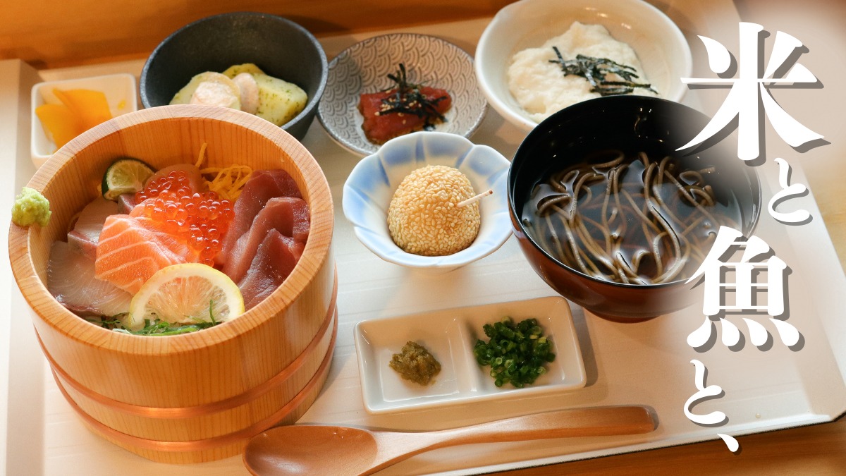 《米と魚と、》海鮮好きに朗報! お刺身もフライもお任せの海鮮ランチ専門店が誕生