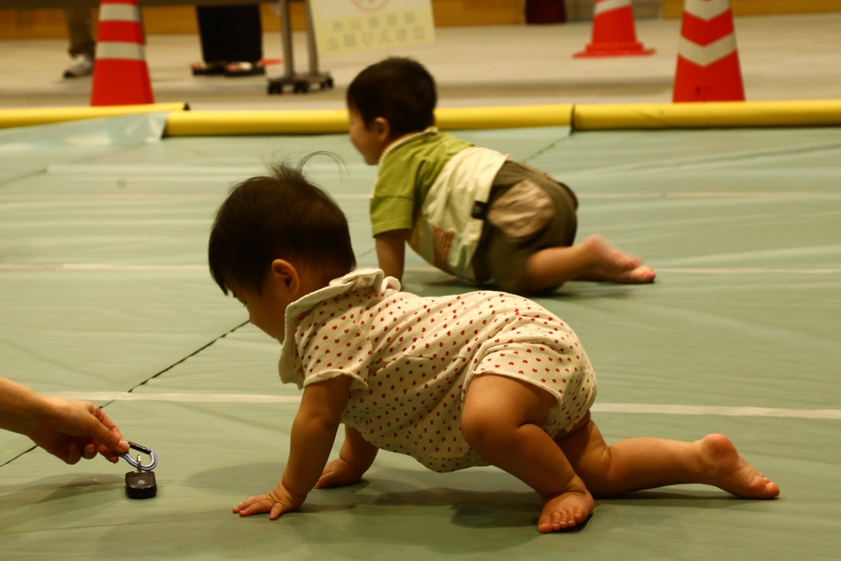 （3/6更新）【徳島の子育てイベント】3月23日（日）ワイヤーフェスタ2025春 in 東部防災館おきのすインドアパーク（徳島市東沖洲）