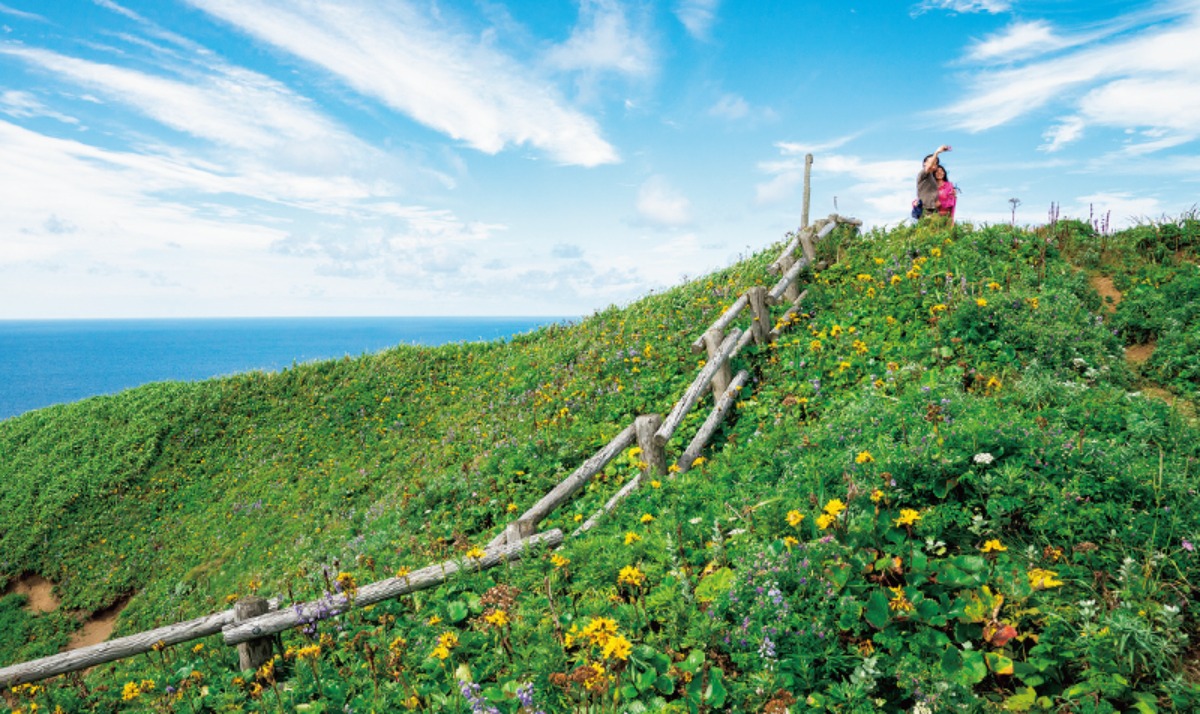 北海道の‟花の浮島”・礼文島をトレッキングでめぐる旅