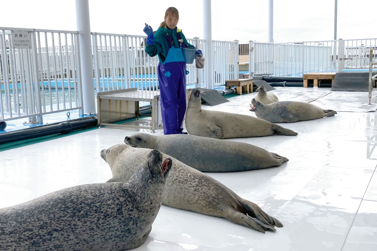 流氷のまち「紋別」で、豊かな自然と食を楽しむ -紋別市-|北海道大人の旅ガイド2025