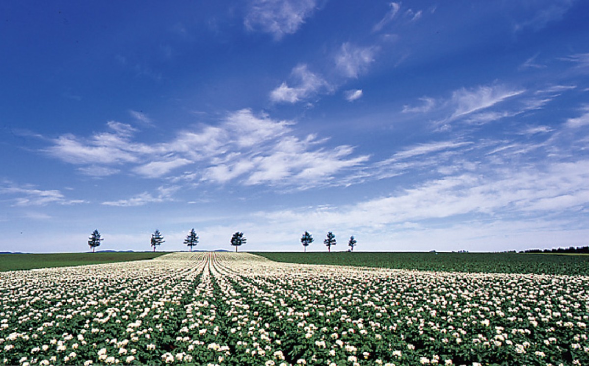 春夏のオホーツク｜大空町　日本最東端の米の栽培地で四季の絶景が自慢