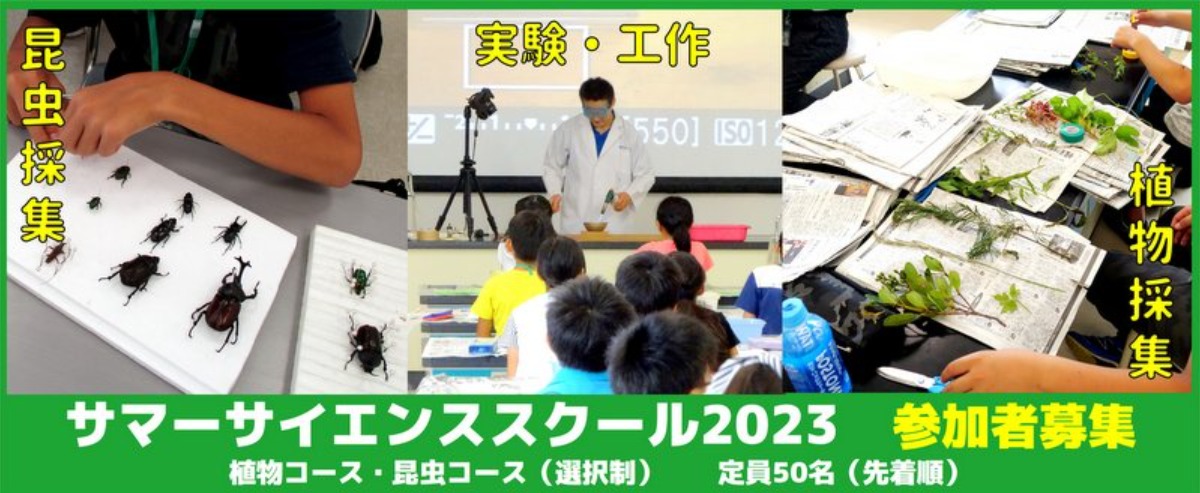 【徳島イベント情報】阿南市科学センター【7月】