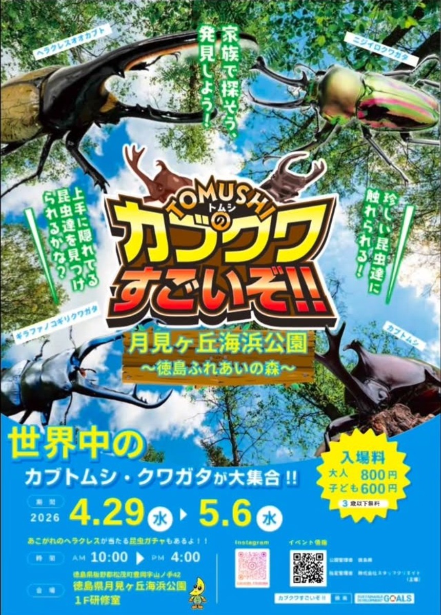 【徳島イベント情報2026】4/29～5/6｜カブクワすごいぞ‼︎ in月見ヶ丘海浜公園