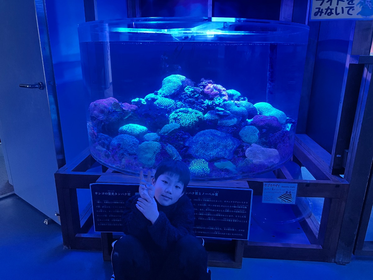 【徳島のおでかけ情報】海中観光船ブルーマリン号の「バレンタインナイトクルーズ2026」ロマンチックな夜の海でステキな思い出を