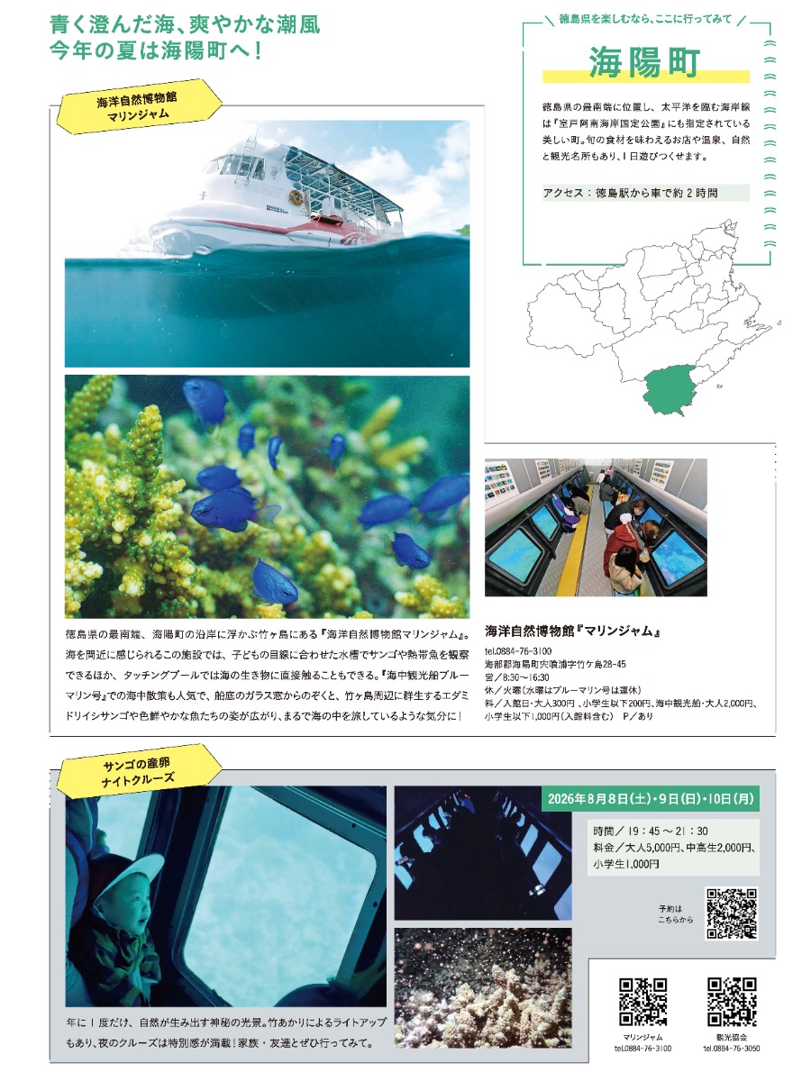 【阿波おどりガイド2026】編集部が推す 徳島の観光スポット
