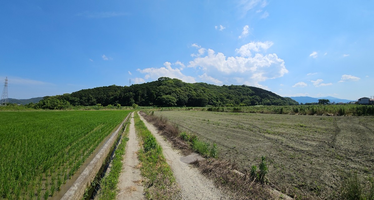 邪馬台国は阿波だった!?シーズン2【古代史を通して徳島の魅力を再発見】8話目／阿波忌部「天日鷲」とは