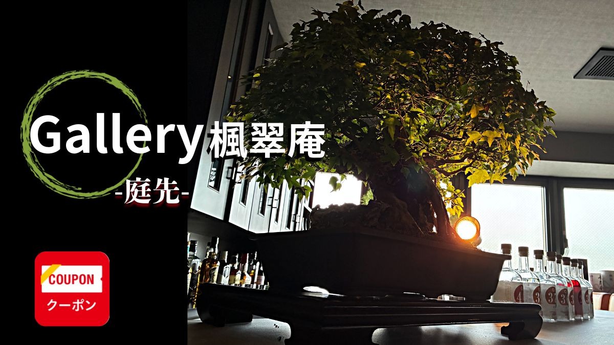 《Gallery 楓翠庵－庭先ー》盆栽とクラフトジンが出会う、徳島・紺屋町の静かな夜