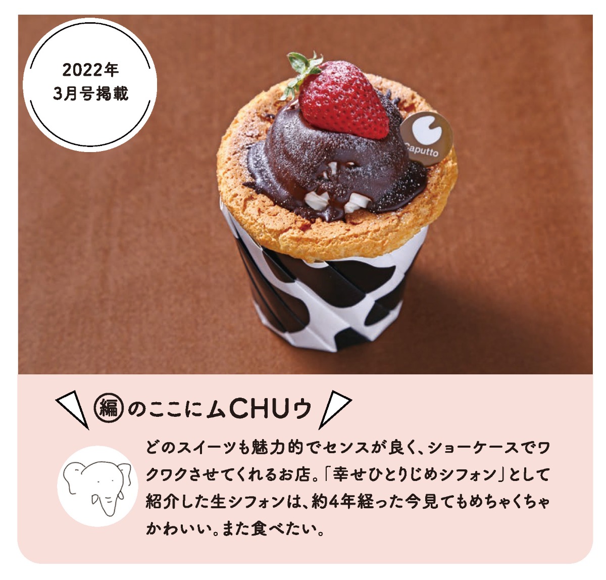 【徳島スイーツ部／おやCHU】編集部おすすめスイーツをピックアップ【ベーグル・焼菓子・アイス・和スイーツ・カフェスイーツ】