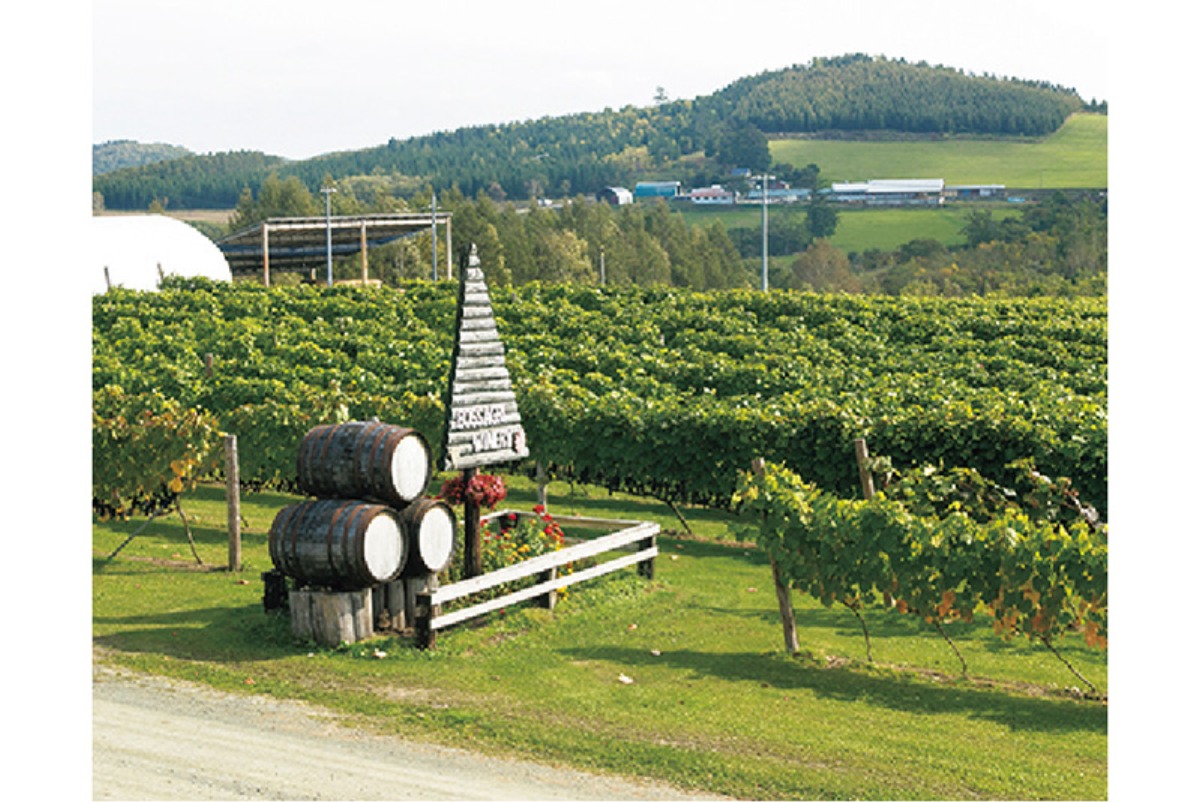春から夏のオホーツク案内｜北見市　春はツツジ、夏には和ハッカと、 香りと色彩に包まれるまち