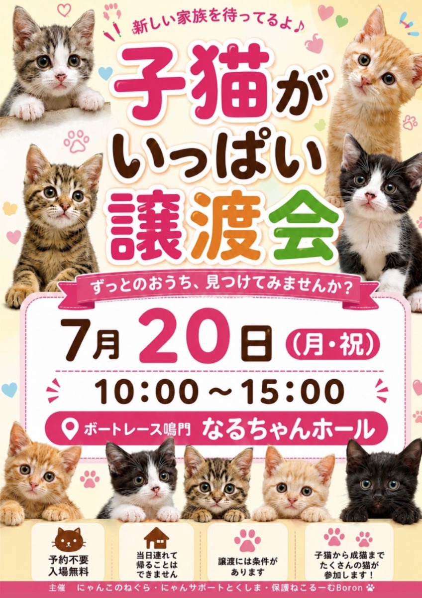 【徳島イベント情報2026】7/20｜子ねこがいっぱい譲渡会