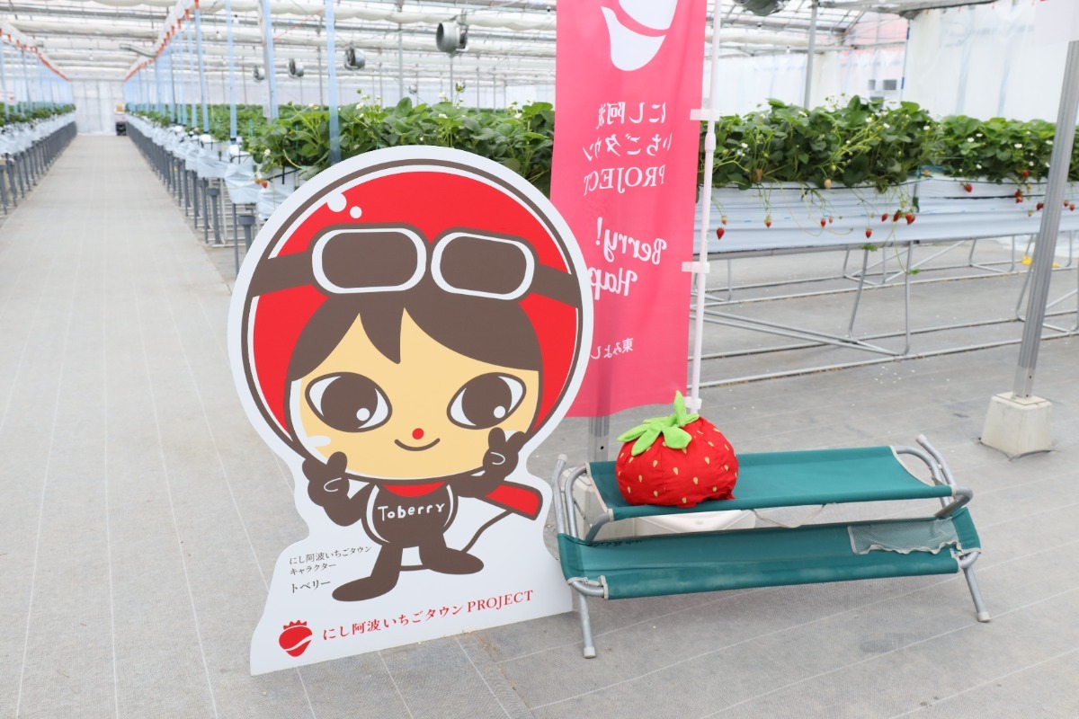 【2026最新版】徳島いちご狩りスポット・おすすめ15選！家族のおでかけ＆レジャーにぴったり