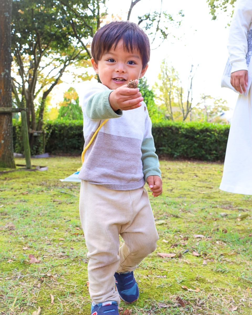 【徳島イベント情報】10/27|木のお皿でおままごと