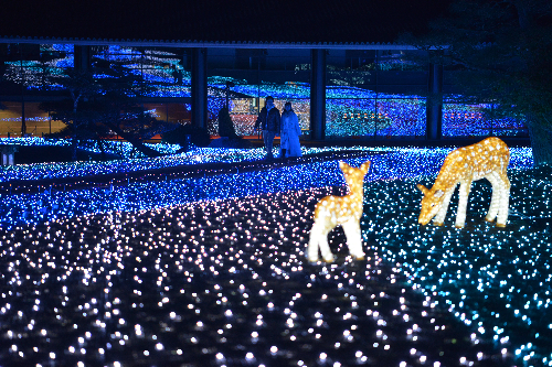 【奈良市】2022年も開催！しあわせ回廊 なら瑠璃絵