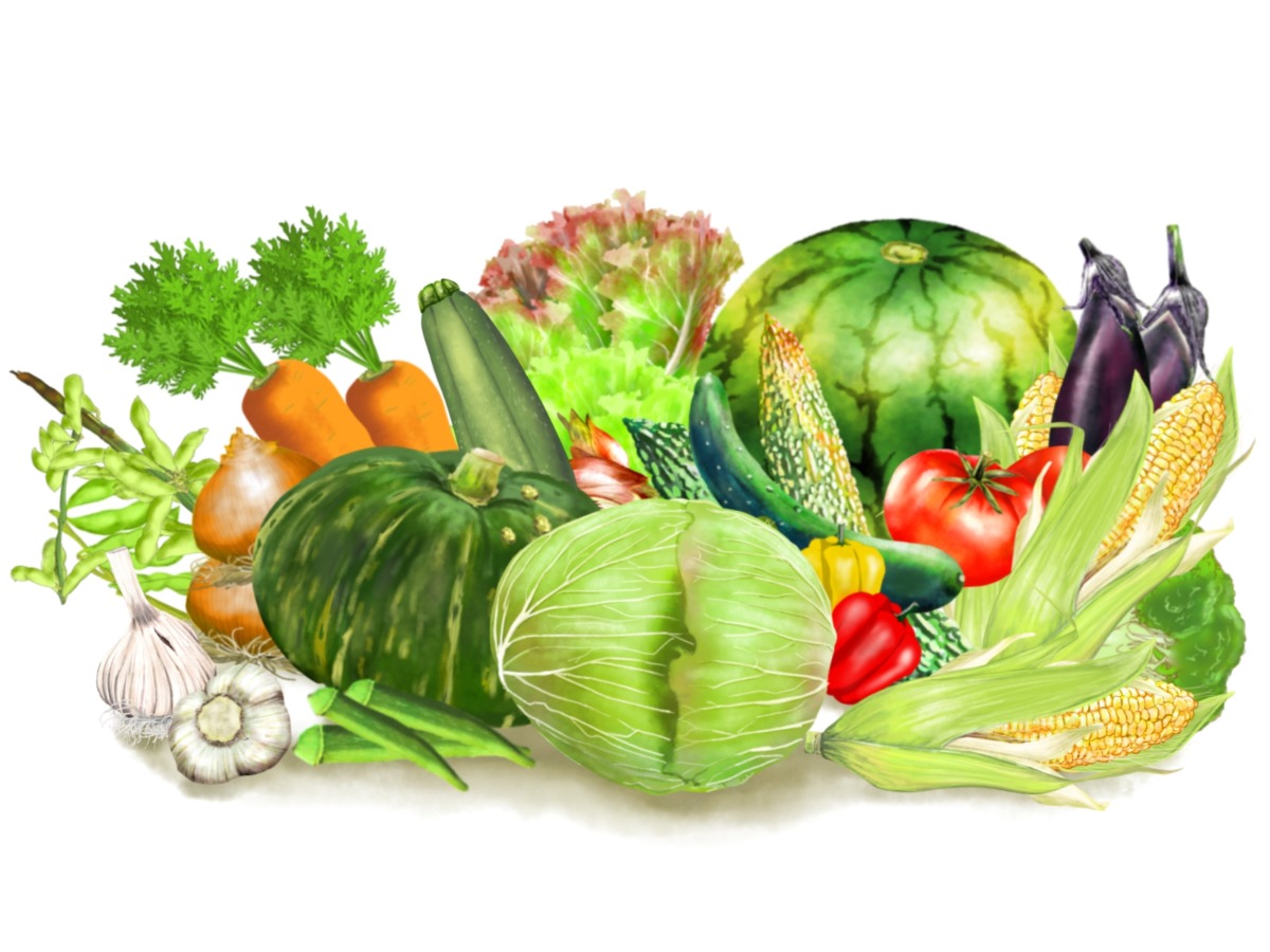 もっと野菜を知ろう！奈良の野菜を知ろう！8月31日は野菜の日！【奈良県的今日は何の日？】