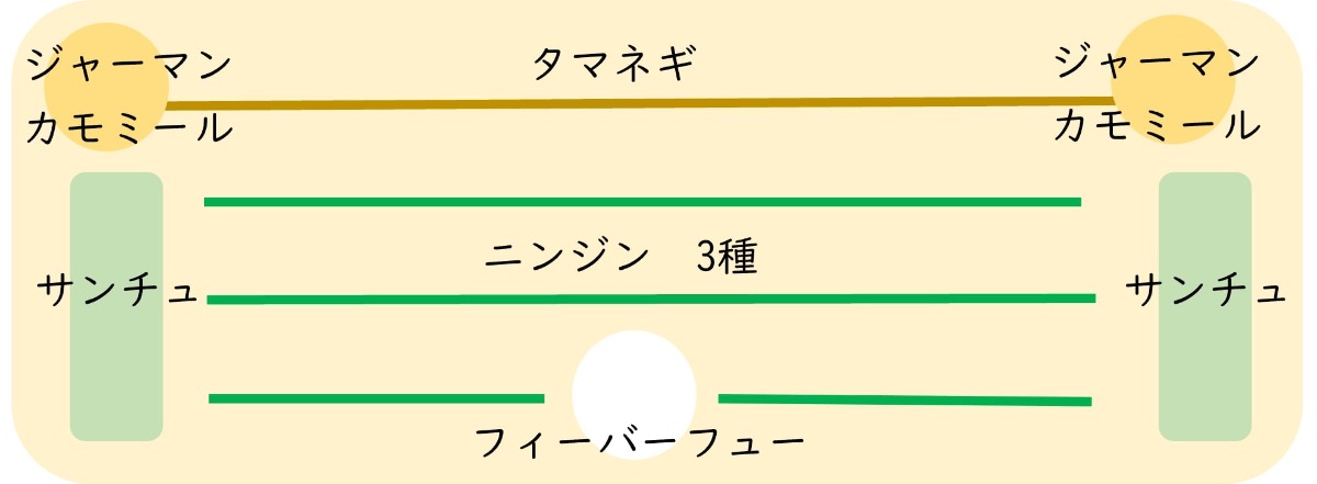 ポタジェ|菜園のデザイン!ハーブの開花と野菜が育つ7月の様子