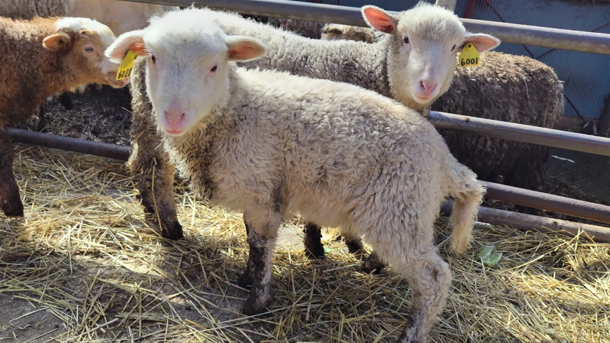 札幌→石狩地方へ行ってきました！（後編／２日目）