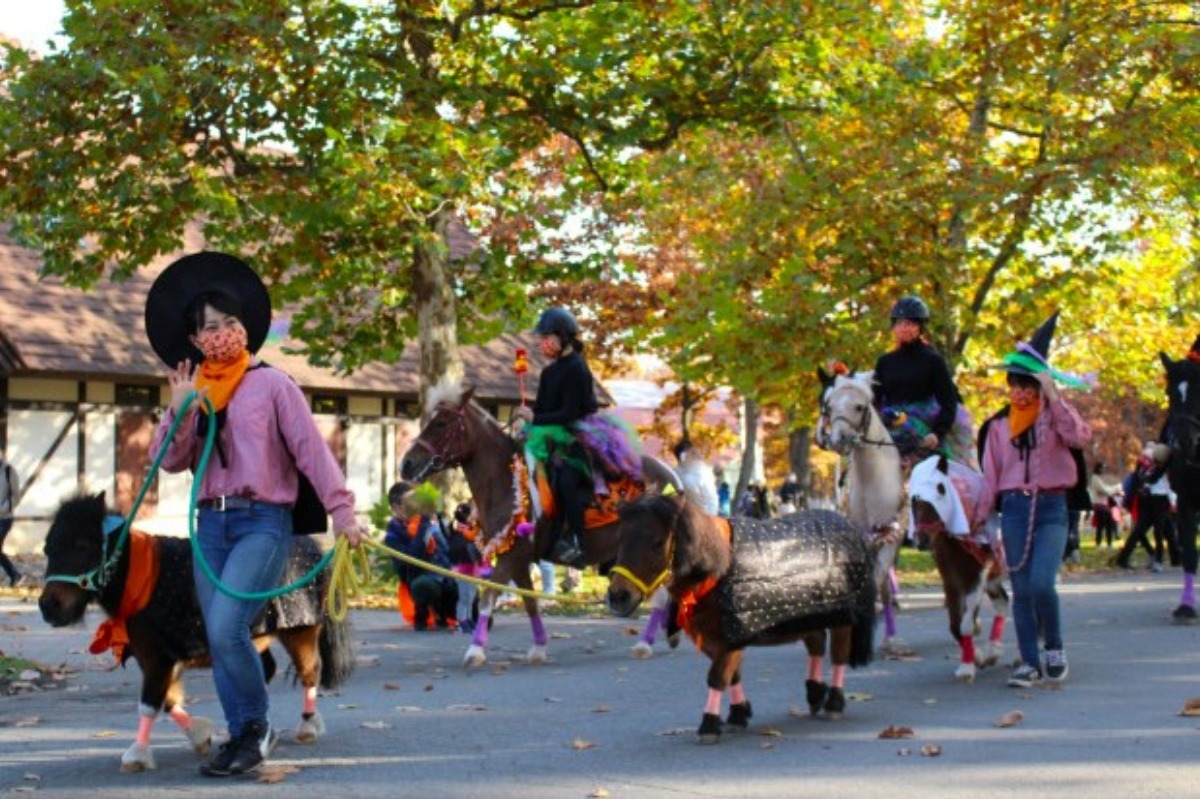 馬たちと楽しむ「ノーザンホースパーク ハロウィン」10月11日より開催