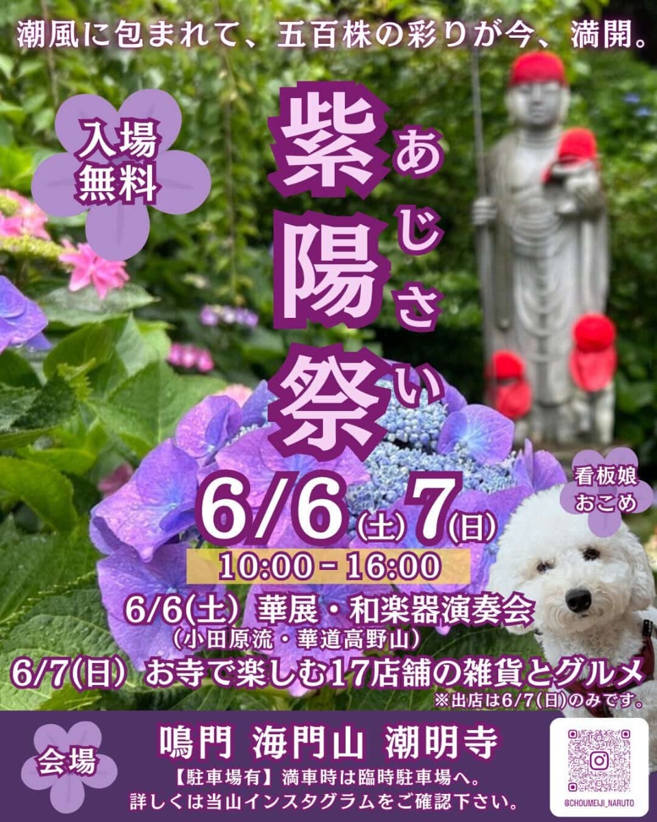 【徳島イベント情報2026】6/6～6/7｜潮明寺『紫陽祭』
